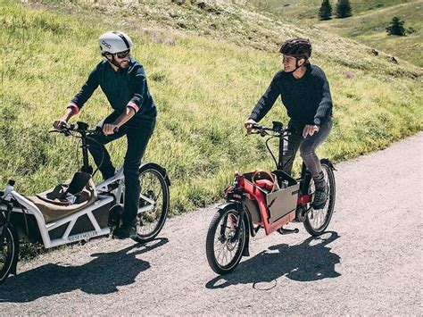 electric cargo bikes for adults